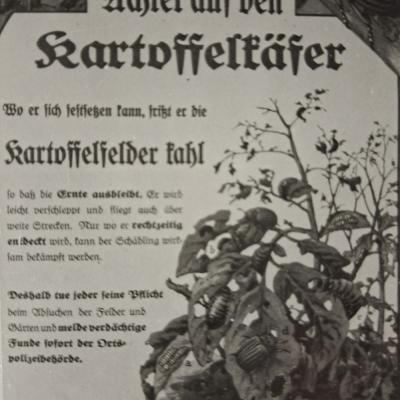 Flugblatt